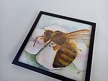 Obrazy - Včela - originál v rámčeku - 16269637_