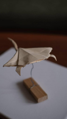 Papier - Origami Raja (Ray) - 16268785_