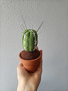 Dekorácie - Mini kaktusy/sukulenty v črepníku - 16284372_