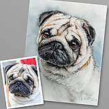 Obrazy - Akvarelový portrét vášho miláčika na želanie - 16283897_