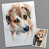 Obrazy - Akvarelový portrét vášho miláčika na želanie - 16283898_