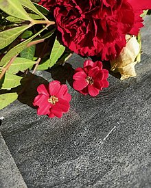 Náušnice - Malé kvetinky - napichovacie náušnice  (Červená) - 16286838_