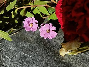 Náušnice - Malé kvetinky - napichovacie náušnice  (Fialová) - 16286839_