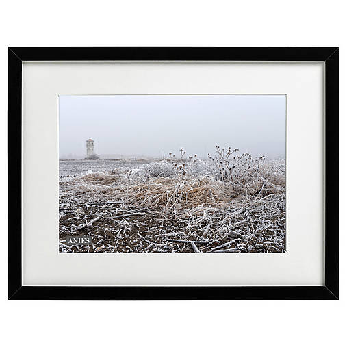 Fotografie - Originálna art print Fotografia - Zima na poli. - 16301231_