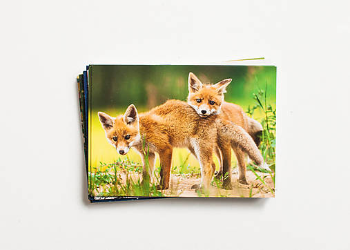 Papiernictvo - Pohľadnica "líščatá" - 16305683_