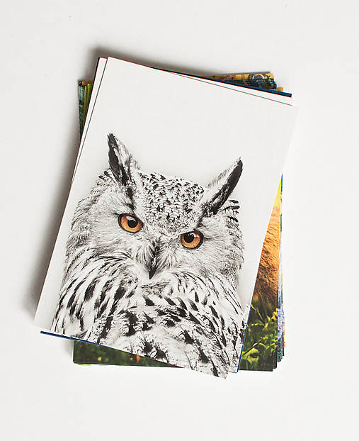 Papiernictvo - Pohľadnica "Uhu" - 16305696_