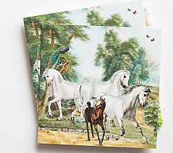 Papier - Pohľadnica " milovníčka koní" - 16306073_