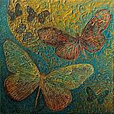 Motýle (40x40)