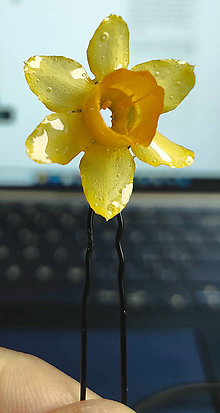 Ozdoby do vlasov - Sponka do vlasů s živým květem "Narcis" trvale uchovaným v živici - 16314061_