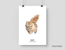 Grafika - Pérzska mačka - personalizovaný plagát mačky - 16318702_
