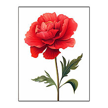 Grafika - Kvet Červený - Ilustrácia - 16325608_