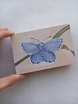 Obrazy - Modráčik, motýľ - akvarel na dreve - 16332484_