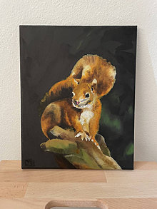 Obrazy - Maľba veveričky - 16341467_