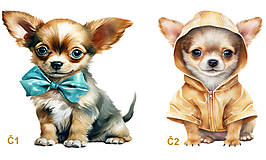 Pre zvieratá - Zimná Bunda  - Chihuahua - 16343062_