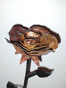 Dekorácie - Kovaná ruža - 16342624_