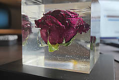 Svietidlá - Noční lampa ze živice s živým květem Růže, vysušeným v silikagelu - 16352277_