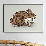 Grafika - Žaba rohatka (čokoládová) - 16354305_