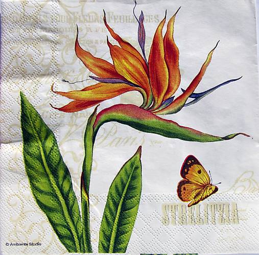 Papier - Servítka K 1 - 16357875_
