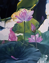 Obrazy - "water lilies" 40x50 - 16357852_