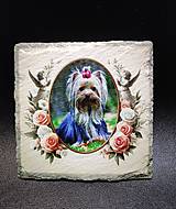 Tabuľky - Tabuľka z bridlice s fotkou vašeho psíka 10x10cm - 16361347_