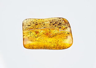 Minerály - Jantár b685 - 16372851_