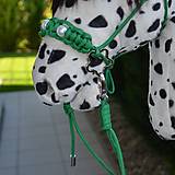 Hračky - Hobby horse Appaloosa Dalmatine zelená parelka pearl - 16373651_
