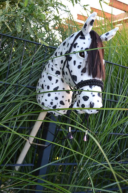 Hobby horse Appaloosa Dalmatine čierna parelka