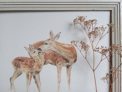 Grafika - Srnky (art print) - 16380143_