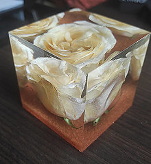 Svietidlá - Dekorace ze živice s živým květem Růže, vysušeným v silikagelu - 16383206_