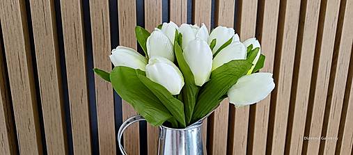 Suroviny - Tulipán  (Biela) - 16384417_