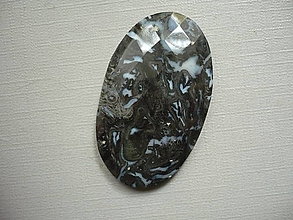 Minerály - Kabošon - achát palmový 43 mm, č.5f - 16395695_