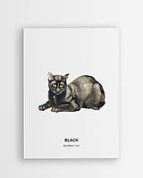 Grafika - Bombay cat - personalizovaný plagát mačky - 16404365_