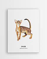 Grafika - Abesínska mačka - personalizovaný plagát mačky - 16404368_