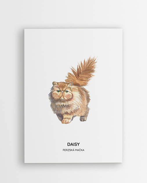 Pérzska mačka - personalizovaný plagát mačky