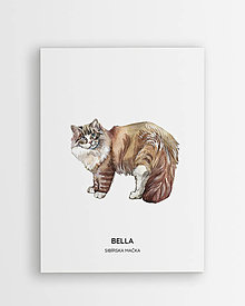 Grafika - Sibírska mačka - personalizovaný plagát mačky - 16404351_