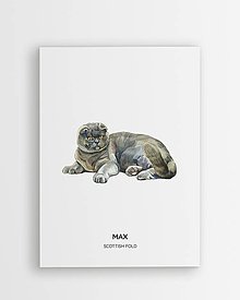 Grafika - Škótska klapouchá mačka - personalizovaný plagát mačky - 16404353_