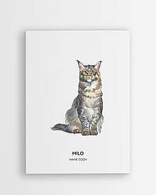 Grafika - Maine coon - personalizovaný plagát mačky - 16404362_