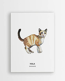 Grafika - Snowshoe - personalizovaný plagát mačky - 16404370_