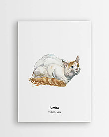 Grafika - Turecká van - personalizovaný plagát mačky - 16404371_