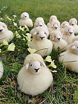 Dekorácie - Ovečka z ovčej vlny - 16407323_