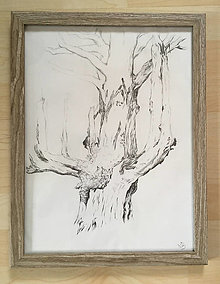 Kresby - Studie stromu (dřevěný rám) - 16408201_