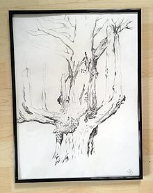 Kresby - Studie stromu (černý rám) - 16408202_
