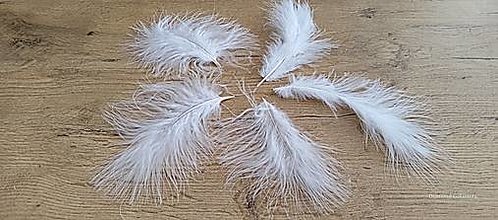 Suroviny - Dekoračé perie biele - 12-15 cm - 16409439_