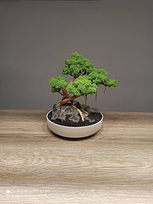 Dekorácie - Hand_made_bonsai - 16409353_