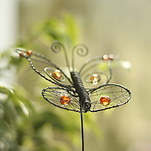 Dekorácie - motýľ letí- zápich  (oranžová) - 16412379_