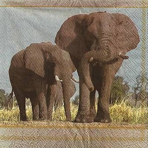 Papier - Servítka Slony 4ks (S369) - 16414753_