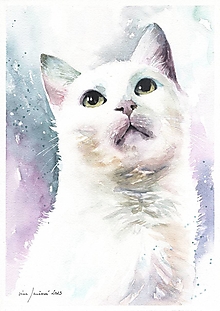 Obrazy - Biela mačička - originálny akvarelový obraz - 16414901_
