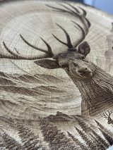 Obrazy - Obraz Jeleňa na dubovom pláte - 16415415_