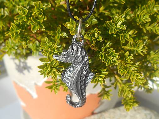 Náhrdelníky - amulety talizmany,výpredaj! (morský koník) - 16420528_