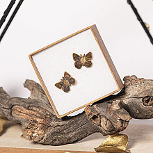 Náušnice - Náušnice motýlikové - 16421899_